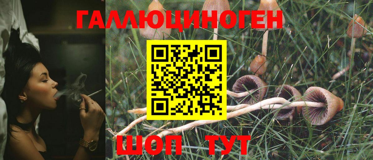 Псилоцибиновые грибы Psilocybine cubensis  Вход с VPN  Батайск  Галлюциногенные грибы ЛСД 
